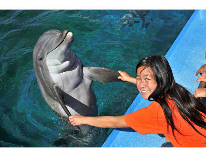 Dreams Do Come True, Orlando# Five Days Hotel+Disney+Air+B'fast+much more For Four - Photo 1