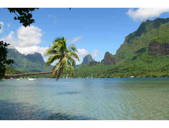 Idyllic Ideals in French Polynesian Paradise