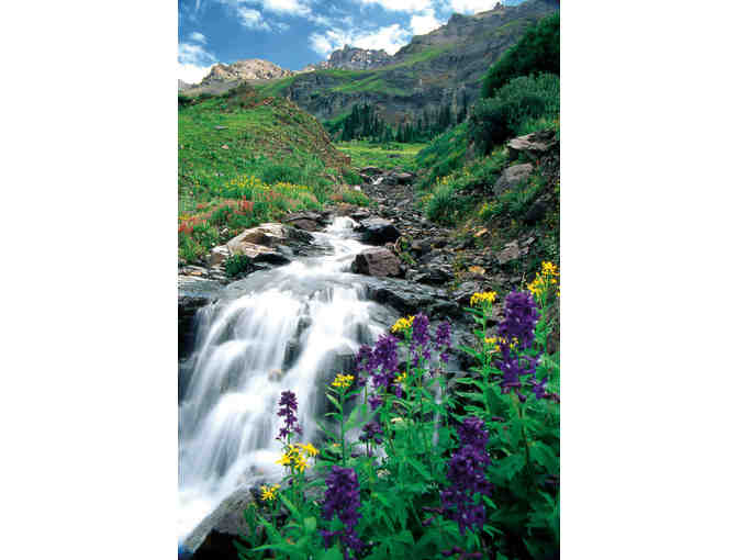 Mountain Village Enclave (Telluride, CO) *5 Days for four ppl+adventure+taxes+more