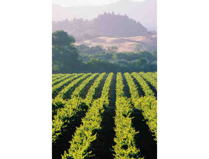 Perfect Wine Region Escape (Sonoma, CA) *Four Days at Fairmont Mission Inn & Spa+tour