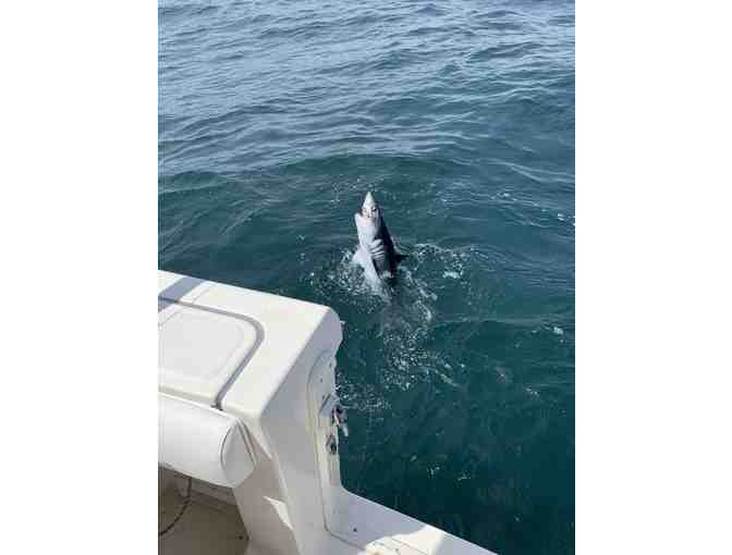 Deep Sea Fishing for 4 during the Casco Bay Bluefin Bonanza