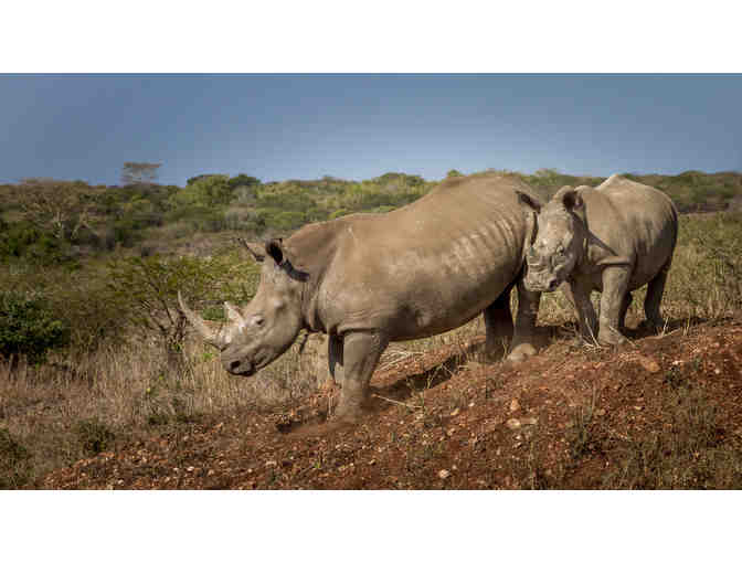 South African Photo Safari for 2