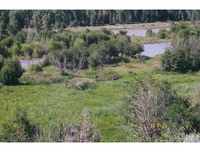 Grand Tetons Vacation