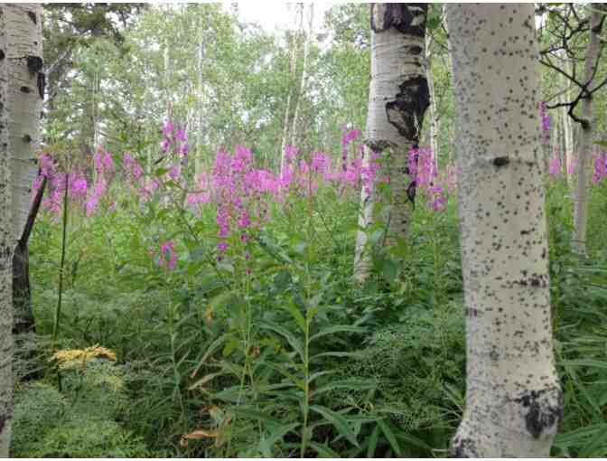 Grand Tetons Vacation