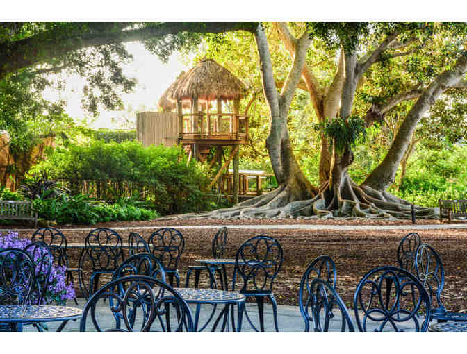 Marie Selby Botanical Gardens Downtown Sarasota Tickets