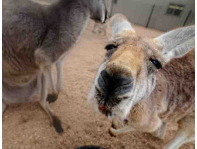 Tanganyika Wildlife Park - Goddard, KS