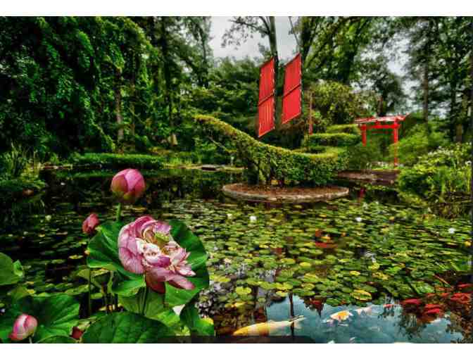 Ladew Topiary Gardens - Monkton, MD