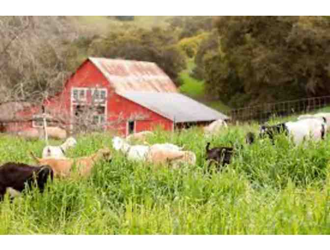 Stepladder Cheese Bundle & Tour for Four