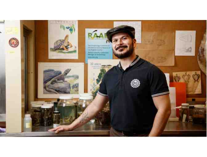 Behind the Scenes: Herpetology Department at the Natural History Museum