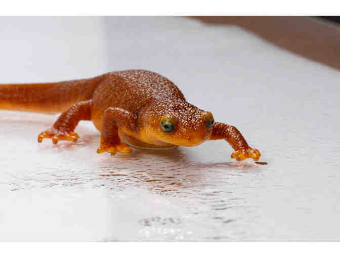 Behind the Scenes Tour at the Natural History Museum!