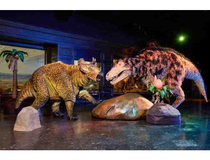 Behind the Scenes Tour at the Natural History Museum!