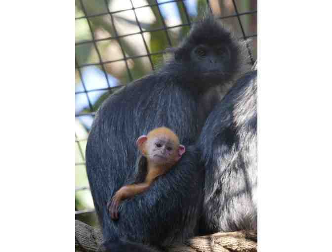 Santa Ana Zoo - Santa Ana, CA