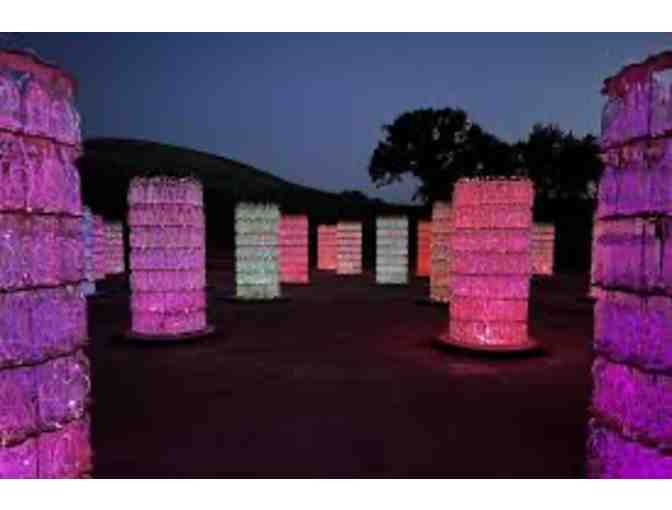 Bruce Munro: Light at Sensorio - Paso Robles, CA