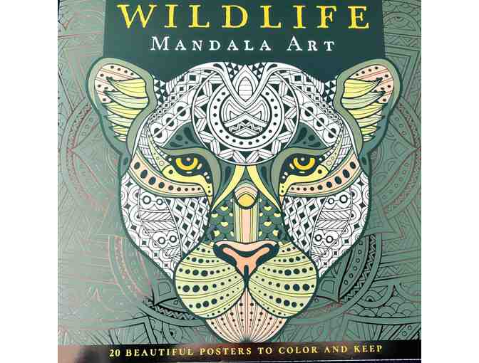 Mandala Art Coloring Book and two Window Mandalas