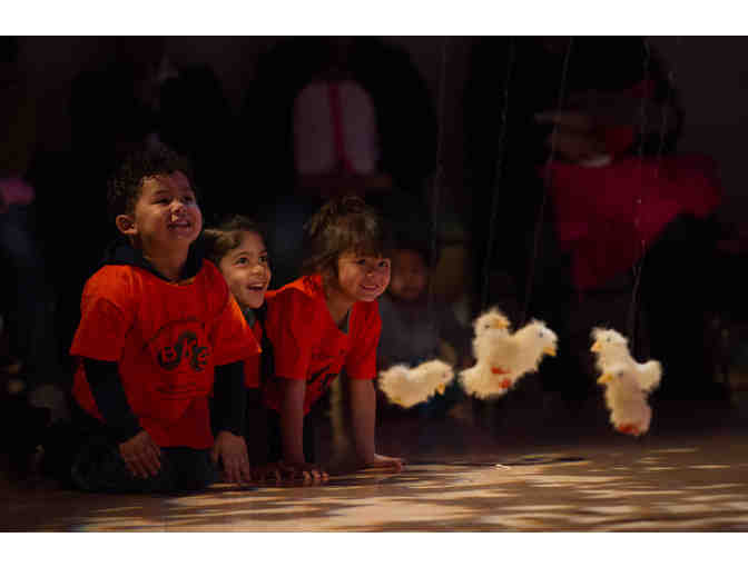 Family Viewing Package To Treehouse Shakers' Hatched