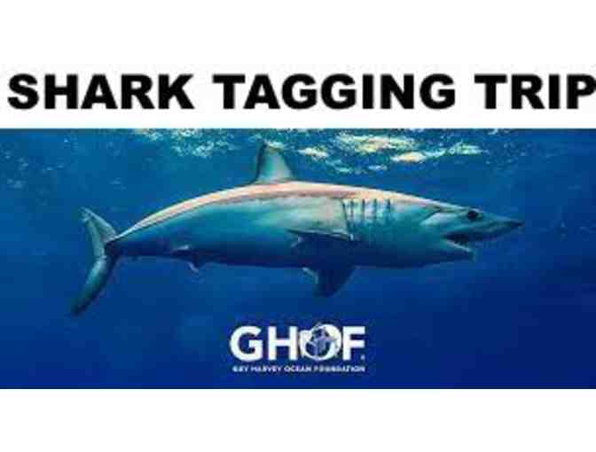 NSU Shark Tagging Full Day Trip for 30 People - Photo 1