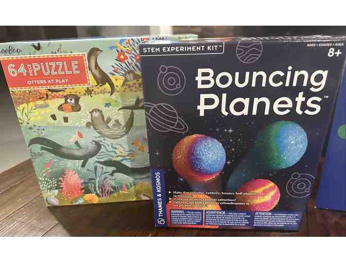 MUSEUM OF DISCOVERY AND SCIENCE Gift Basket w/ ANNUAL MEMBERSHIP/PASSES
