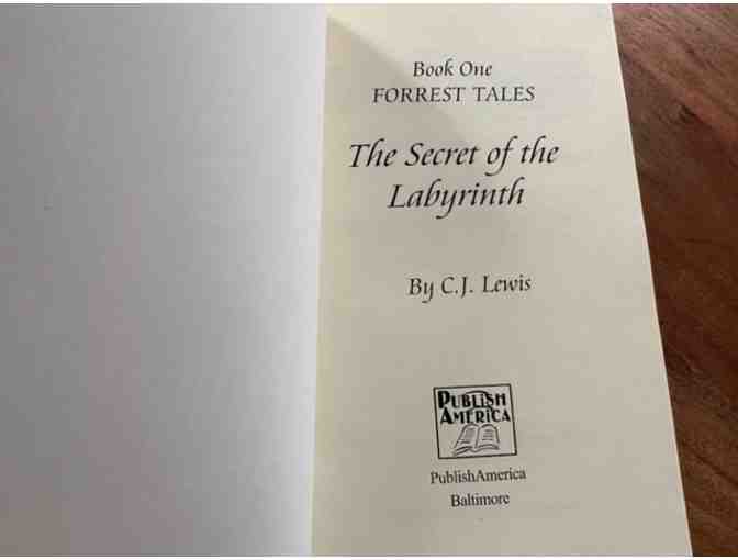 The Secret of the Labyrinth | Book
