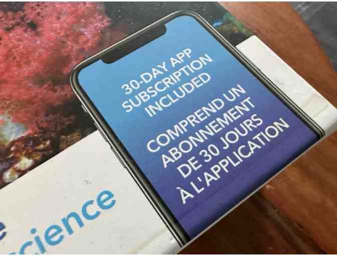 Hidden Waterfalls | Calm Mindful Puzzle