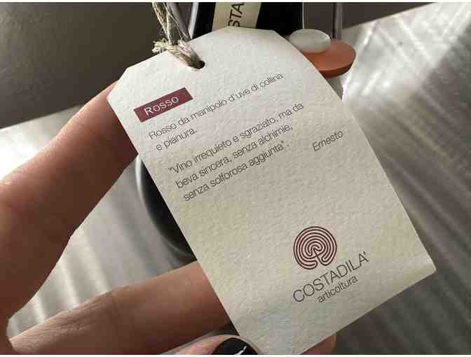 Costadila - Rosso | Vino