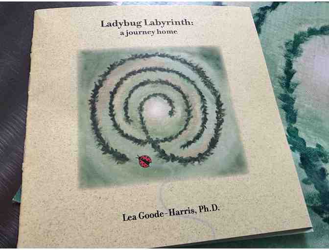 Ladybug Labyrinth