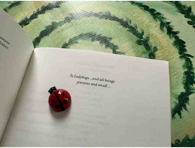 Ladybug Labyrinth