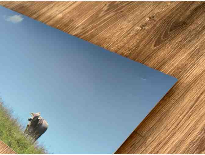 Swiss Cow | Metal Print