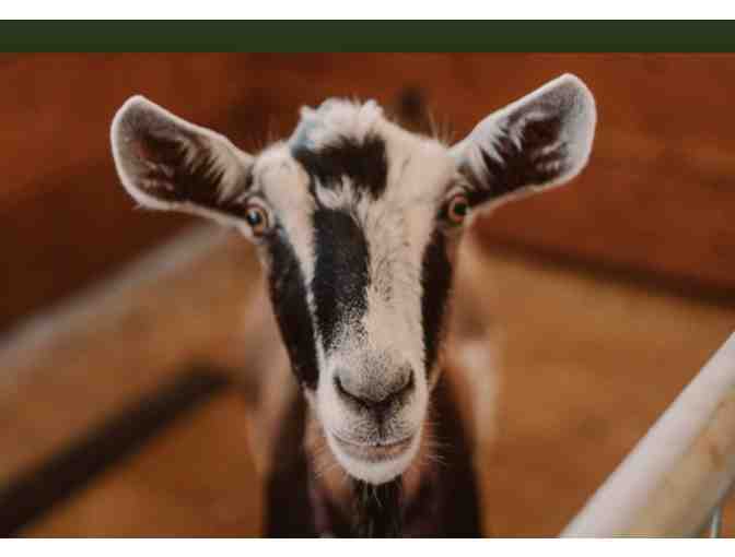 Udderly Wonderful Spa Gift Basket from Maui