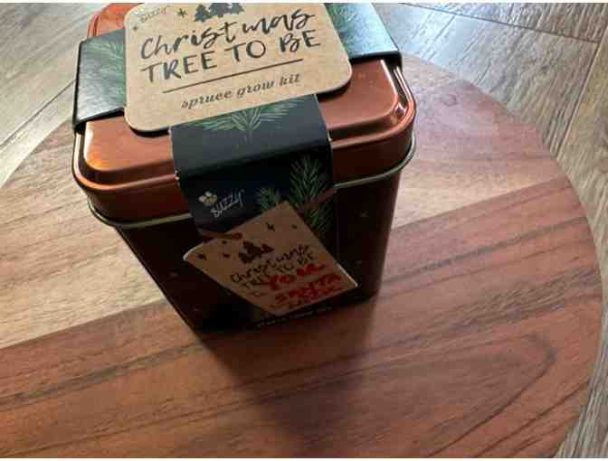 Tree Lovers' Delight!