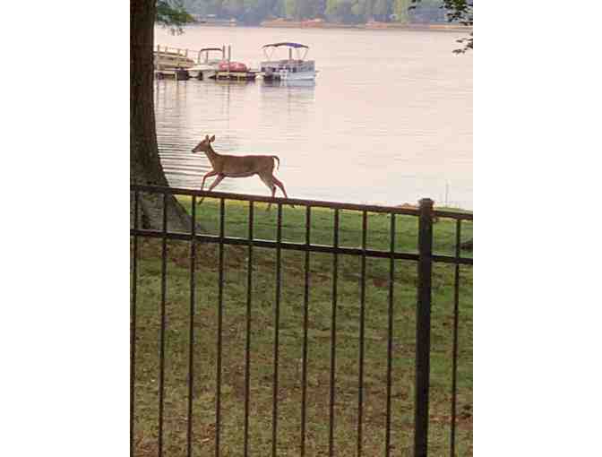 Lakeside Bliss | Weeklong Cottage Rental on Lake Norman