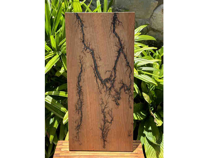 Beautiful Fumed Eucalyptus Art Panel