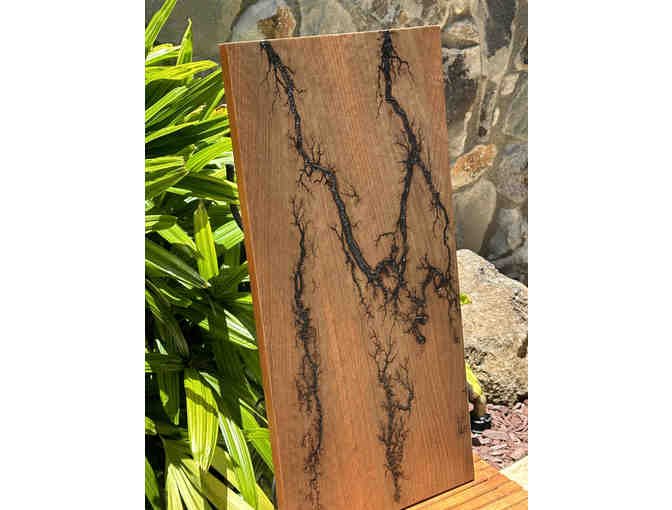 Beautiful Fumed Eucalyptus Art Panel