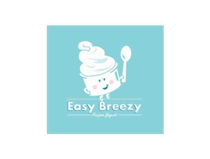 $20 Easy Breezy Frozen Yogurt Gift Card - Photo 1