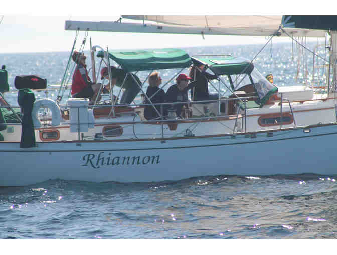 Four-Hour Sail Around Santa Monica Bay and Lunch for Up to Five People
