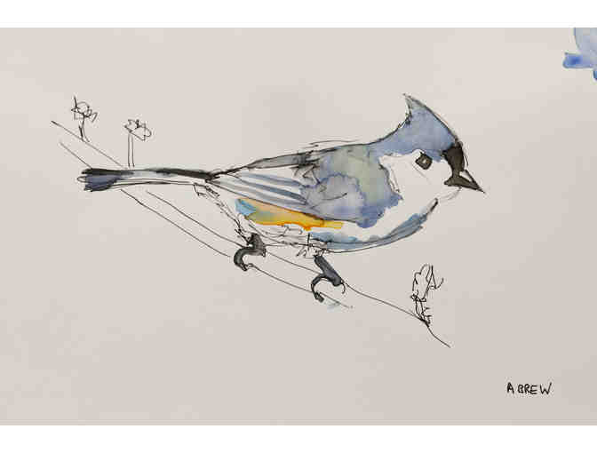 Tufted Titmouse Watercolor Sketch by Angela Brew