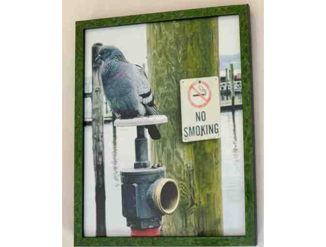 Photograph of Pigeon on the Hudson by Anita Bergman