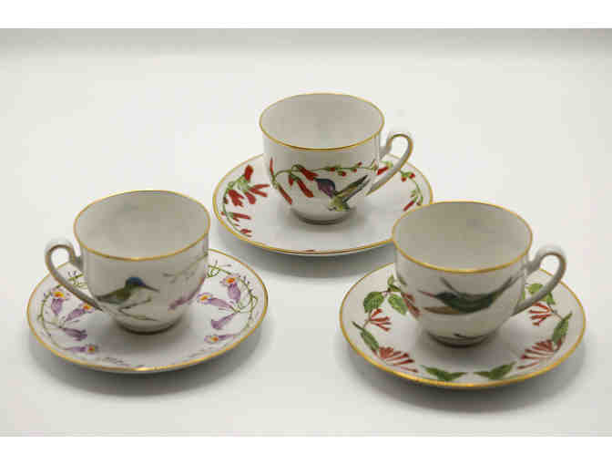 Hummingbirds of the World Fine Bavarian Porcelain-12 Distinct Tea Cup/Saucer Set