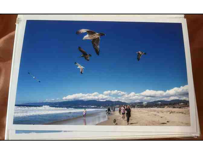 Three photos of soaring gulls at Santa Monica by Colleen Sturtevant