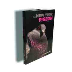 The New York Pigeon: Behind the Feathers