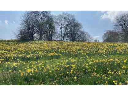 5 Night Stay at Wisconsin Farmhouse - Offer #1